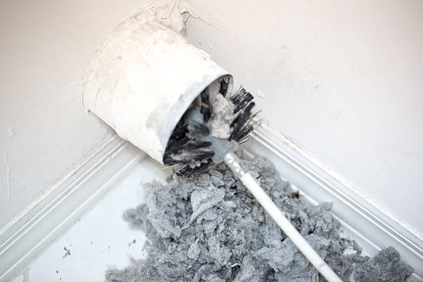 Best Air Duct Sanitizing Services  in Mountlake Terrace, WA